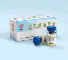 哈爾濱維科生物技術開發公司 引領生物技術創新，共創健康未來