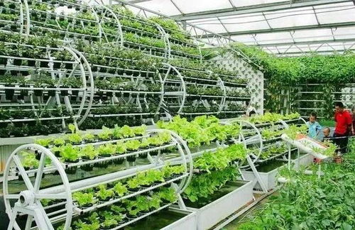 智能化植物工廠與康養(yǎng)農(nóng)業(yè)的融合之路 以生物技術(shù)為催化劑